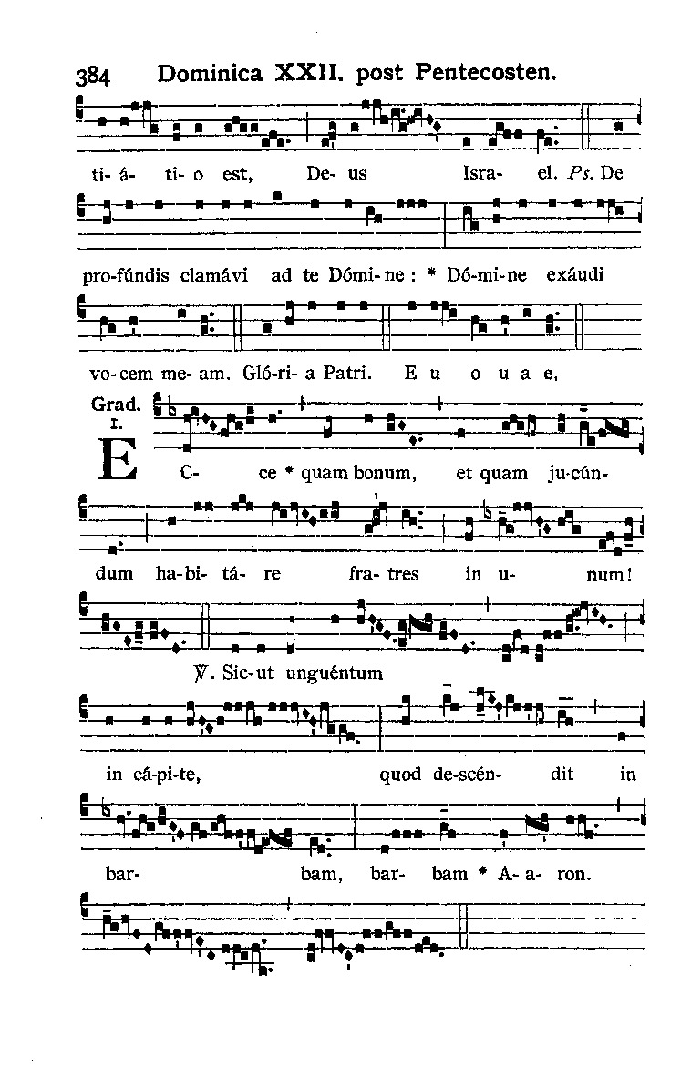 page 384 ... Loading image...